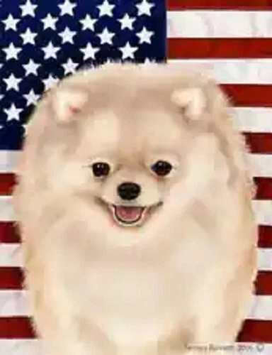 Patriotic (D2) Garden Flag - Cream Pomeranian 324341