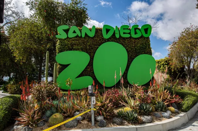 (2) San Diego Zoo Or Safari Park General Admission Passes Exp 1/22/24 $138 Value