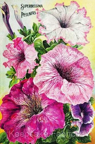 Superb Petunias Seed Packet Quilt Block Multi Szs FrEE ShiPPinG WoRld WiDE (731B
