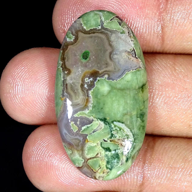 26.80Cts Natürlich Regenwald Jaspis Rhyolite Oval Cabochonschliff Lose Edelsteim
