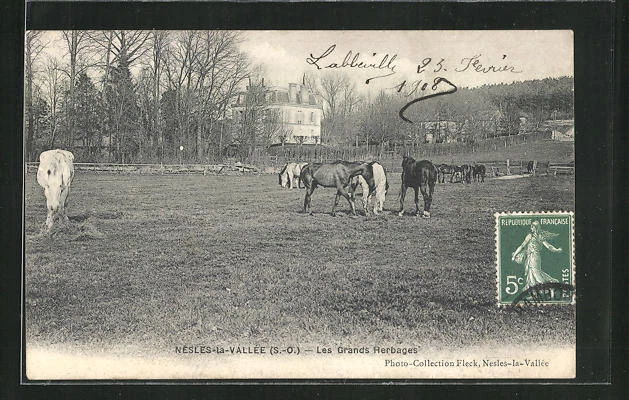 CPA Nesles-la-Vallée, Les Grands Herbages, chevauxweide 1908
