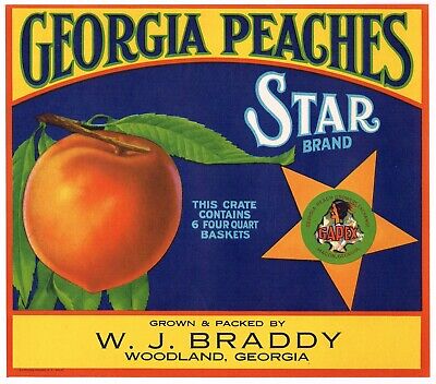 Original Crate Label Vintage Peach Star Woodland Georgia C1940 Macon Indian