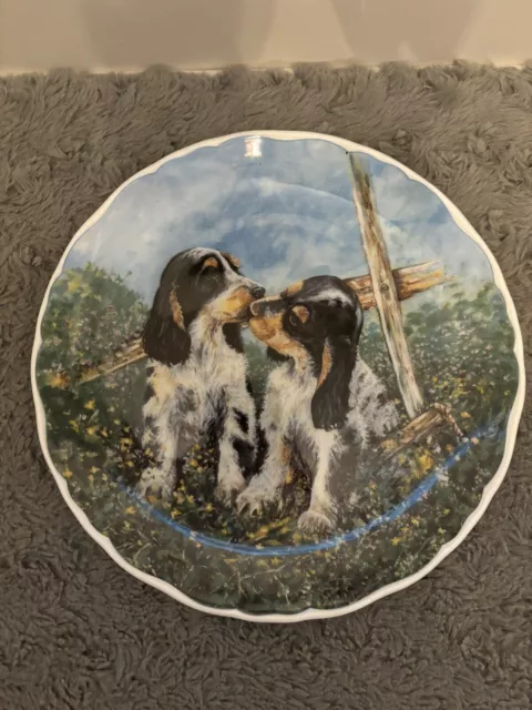 Vintage Royal Albert Bone China, Playful Puppies Collection, Springer Spaniels