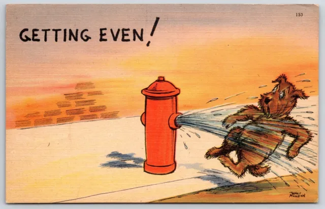 Getting Even! Dog And Fire Hydrant Comic Card Postcard