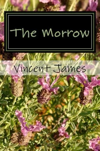 The Morrow.by James  New 9781492942641 Fast Free Shipping<|