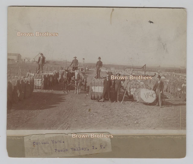 1900s White Cotton Farmers & Overseers Weigh Cotton @ Yard Mounted Photo 1900s White Cotton Farmers & Overseers Weigh Cotton @ Yard Mounted Photo