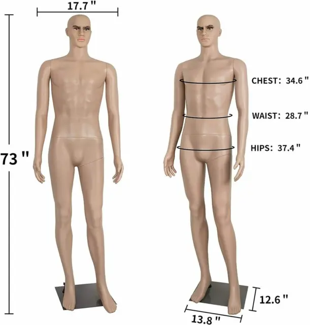 Male Full Body Realistic Mannequin Display Head Turns Dress Form Base 73 Inches 3