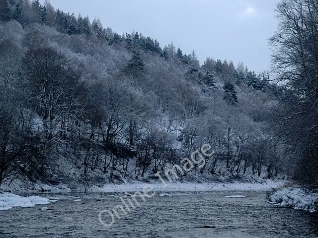 Photo 6x4 Winter Trees and River Don Keig The weir is just visible in the c2010