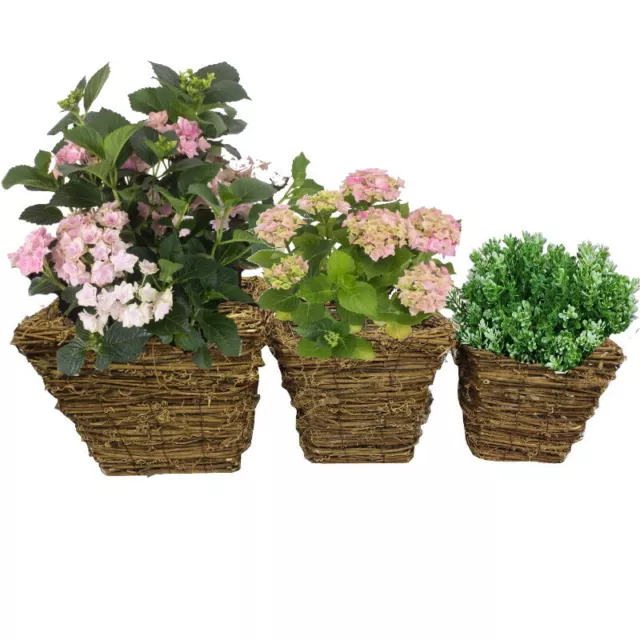 Juego De 3 X Flor Hierba Macetas Pre-lined Mimbre Cesta Pation Plantadores