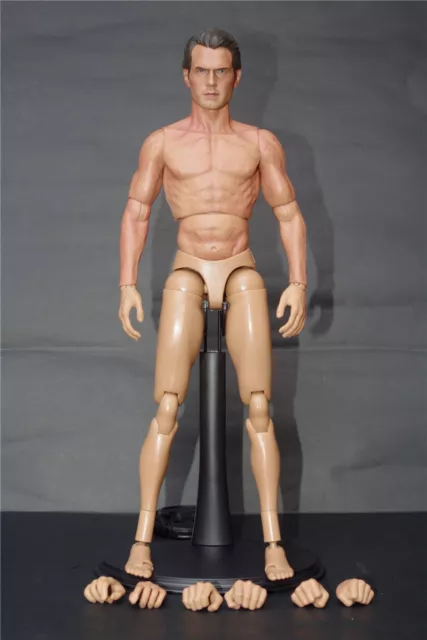 1:6 Scale ZY Toys Europe Muscular Male Man Body Action Figure F 12 Head  Sculpt
