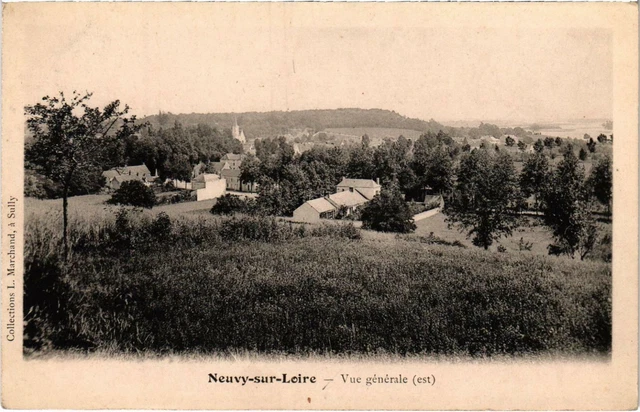 CPA NEUVY-sur-LOIRE general view of Nievre (100197)