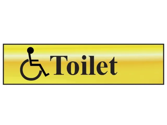 Scan - Disabled Toilet - Polished Brass Effect 200 x 50mm