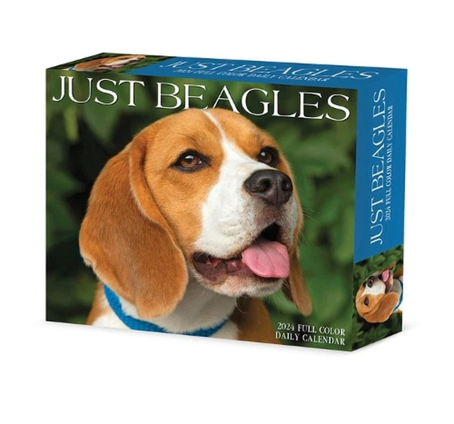 BEAGLES 2024 6.2 X 5.4 Box Calendar by Willow Creek Press EUR 15,00