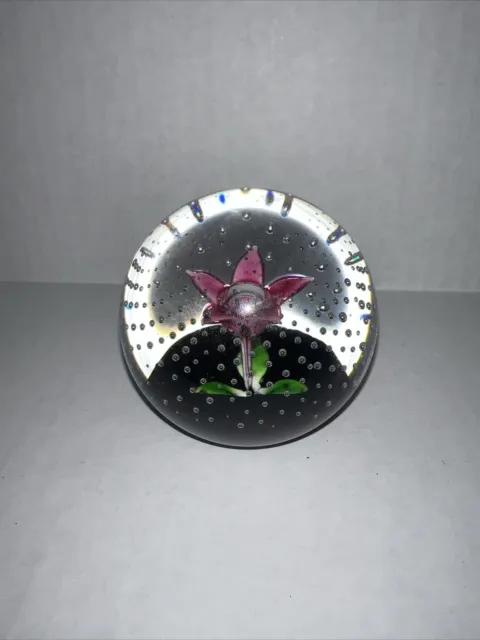 Scottish Glass, Caithness Glass Paperweight Entitled Flower in the the Rain Pink