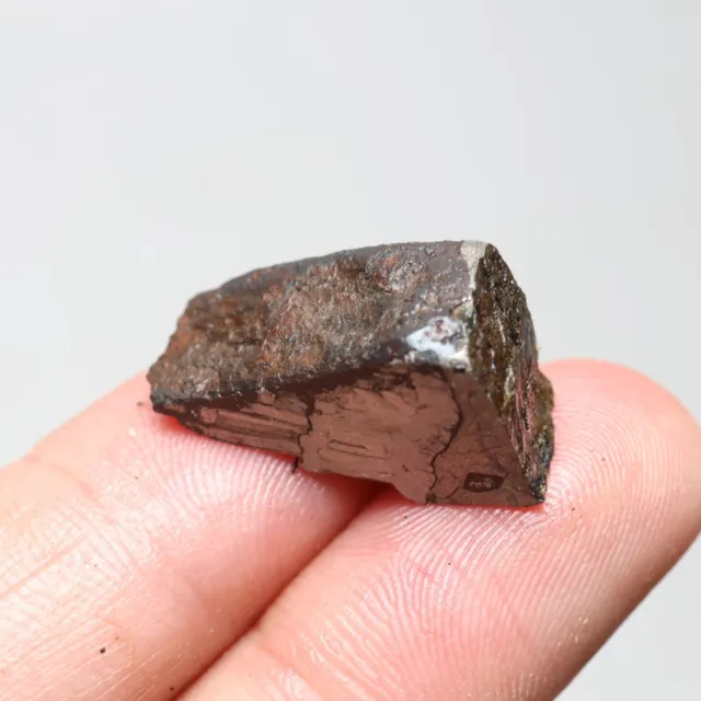 6g  Muonionalusta meteorite part slice C7358