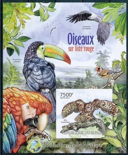 Owl, Toucan, Sea Eagle Birds Environment Protection, Burundi 2012 MNH Imperf SS