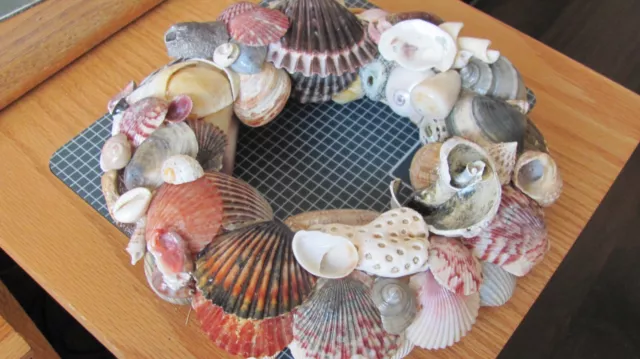 Sea shell wreath hand made colorful beach decor w/glaze and back hook 8x7"