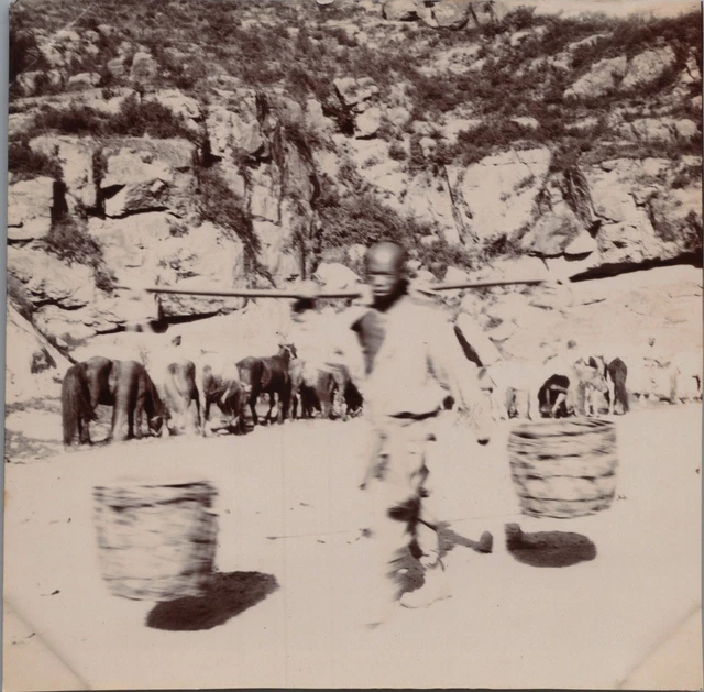 Photo Vintage Chine - Tientsin, Païlou Dans Cour De Pagode - Tirage Original C.1900