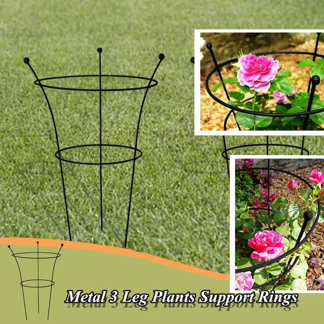 Ruddings Set Of Natural Metal 3 Leg Large Herbaceous Peony Plants Support Rings