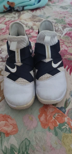 Lebron soldier online 12 sfg witness