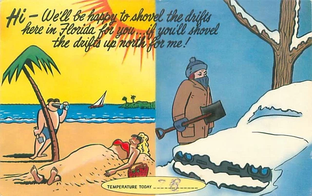 We'll Shovel the Drifts Here in Florida For You, Temperature,  Comic Postcard