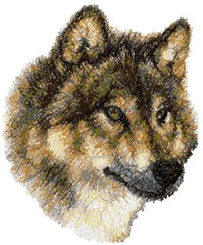 Embroidered Sweatshirt - Wolf AED14941