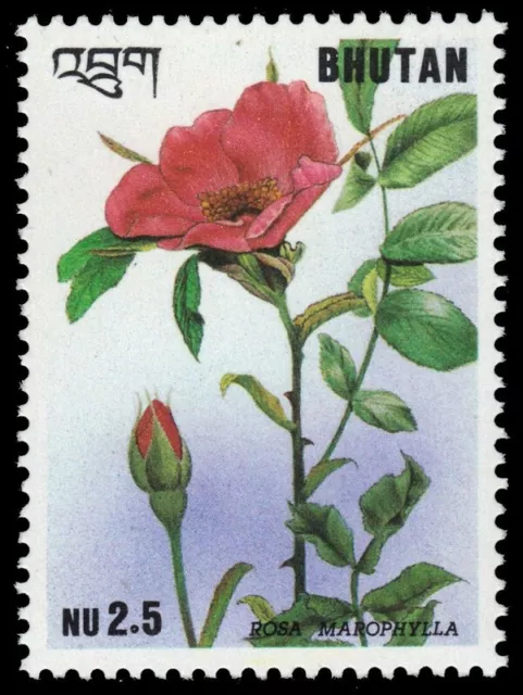 BHUTAN 1095d - "Rosa marophylla" Flowers (pa67334)