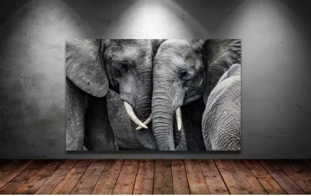 ELEPHANTS beautiful & colorful animals high quality Canvas painting  Home decor