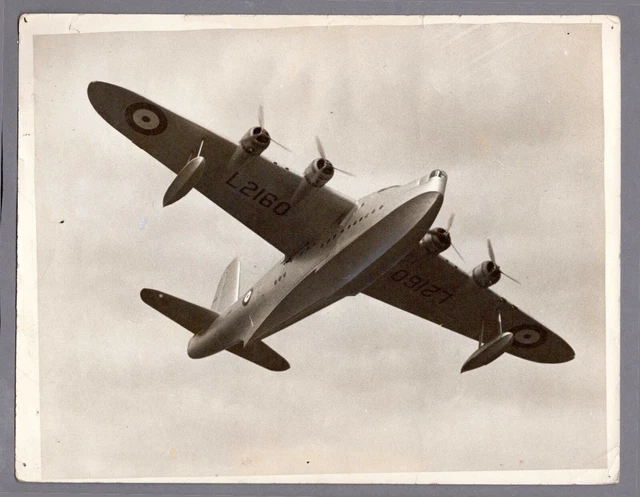 Short Sunderland Flying Boat Large Original Vintage Press Photo Raf 142