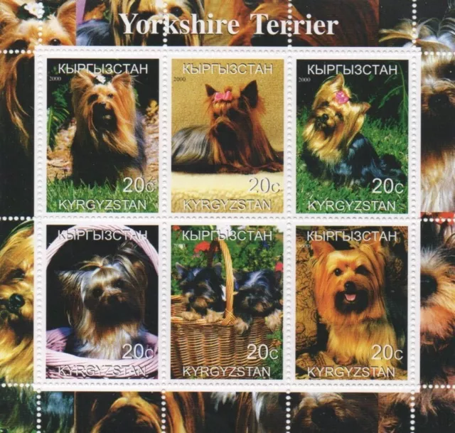 Yorkshire Terrier Dog Animal And Puppies 2000 Mnh Stamp Sheetlet