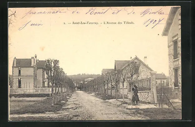 CPA Saint-Leu-Taverny, L'Avenue des Tilleuls