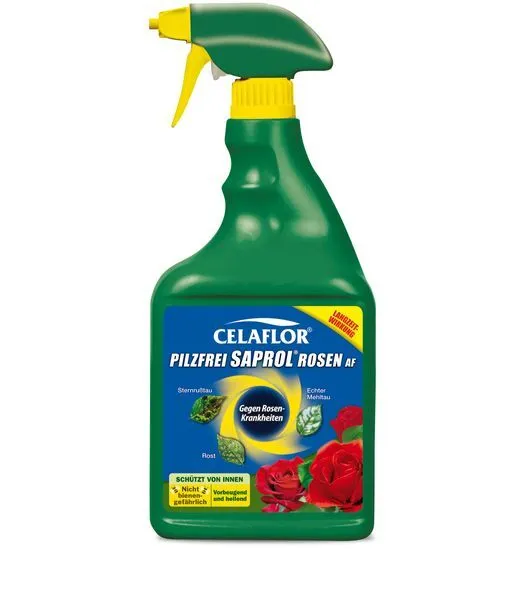Celaflor Rosen- Pilzfrei Saprol-Spray AF - 750 ml