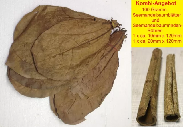 100 Gramm Seemandelbaumblätter + 2 Rindenröhren 1 + 2 cm Ø - Catappa Leaves