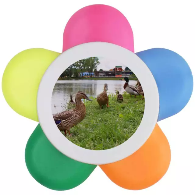 'Mallard Ducks & Pond' Flower Shape Highlighter Pen (HL00005325)