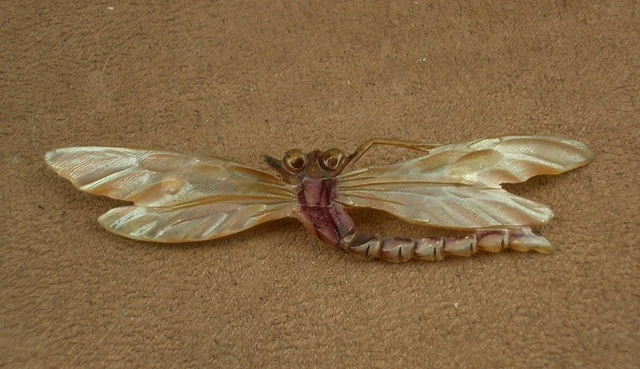 Belle Broche  Art Nouveau En Corne Libelule Dlg Gip / Georges Pierre