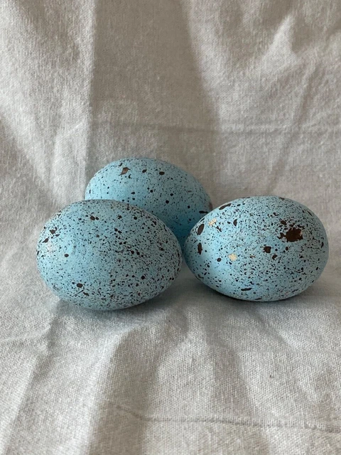 Blue and Brown speckled JAY/ ROBIN EGGS Spring, Easter Home Decoration 