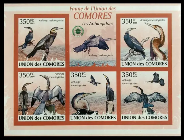 125.COMOROS 2009 Imperf Briefmarke S/S Vögel. MNH