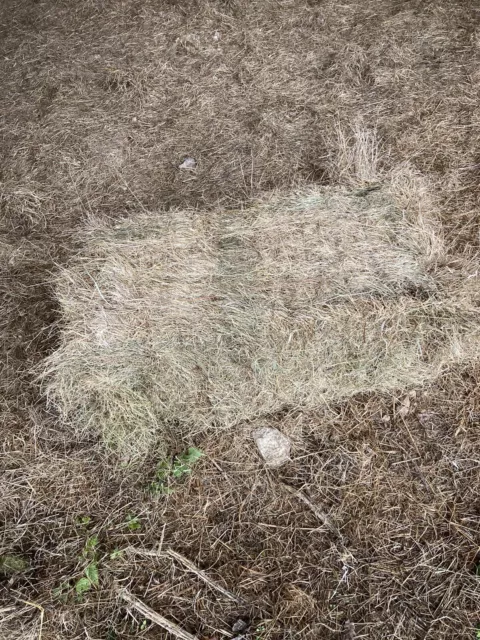 Conventional Hay Bale