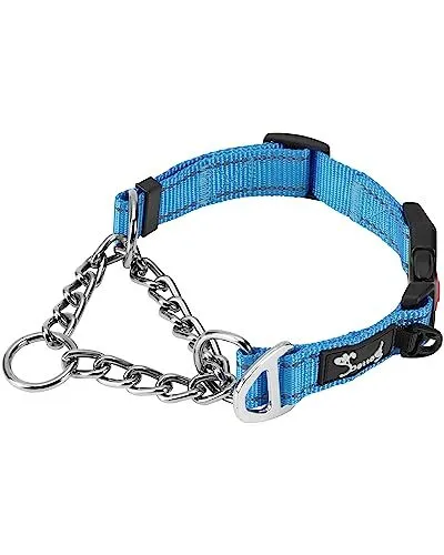 PETTOM Collier Semi Étrangleur Chien Bleu M 43-52cm Collier Étrangleur pour C...