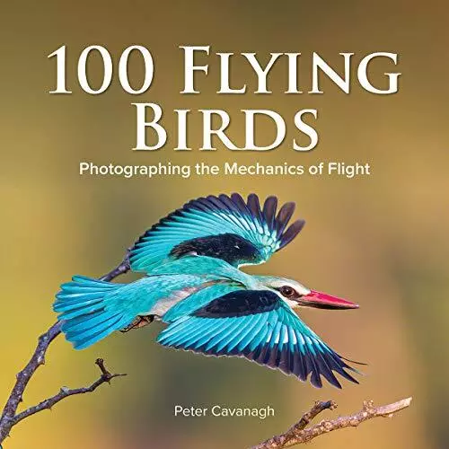 100 Flying Vögel: Photographing The Mechanics Von Flug , Neues Buch, Gratis & Fa