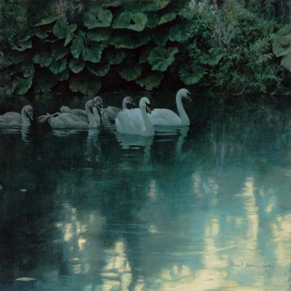 Robert Bateman Greater Durnford Mute Swans