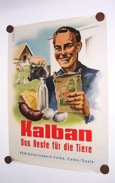 Reklame Plakat Kalban Tierfutter VEB Gelatinewerk Calbe Saale 1953 DDR DEWAG !