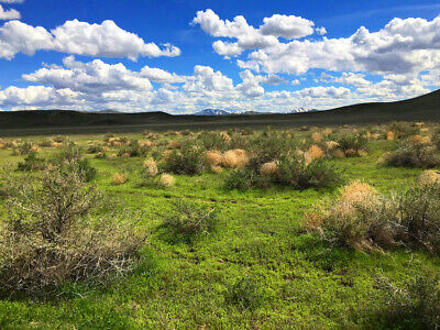 Rare 40 Acre Nevada Ranch "Antelope Valley" Surveyed/Staked Cash Sale No Reserve 5