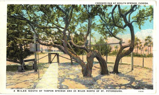 Old Postcard Crooked Oak Health Springs Tarpon Springs Florida Fl White Border