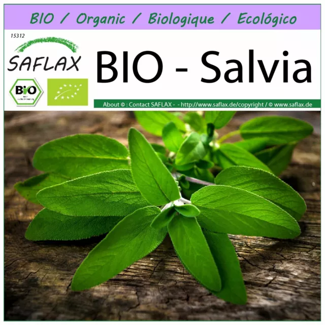 SAFLAX  - BIO - Salvia - 60 semi - Salvia