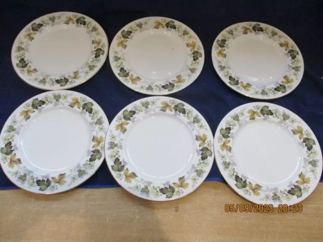 larchmont royal doulton 6 x 27 Cm Dinner Plates