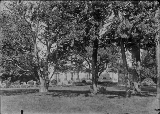 Antique photo glass plate negative 13x18 cm landscape park trees, château France