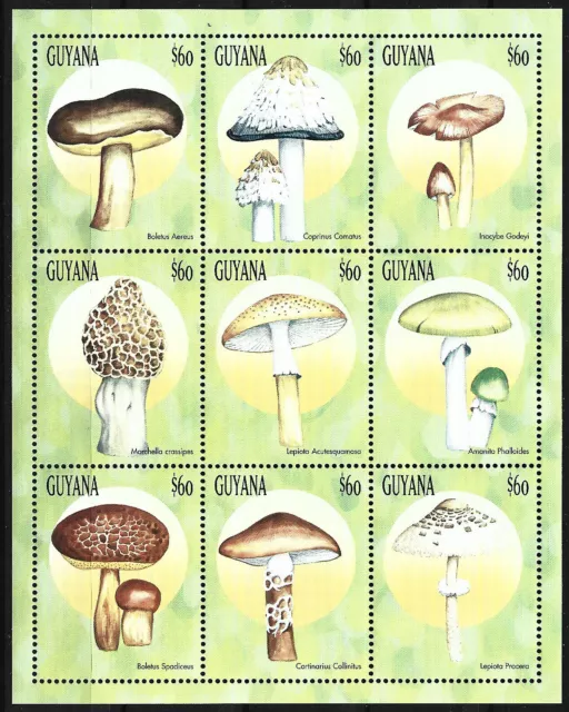 Guyana - funghi piccolo foglio nuovo di zecca 1999 Michel 6537-6545