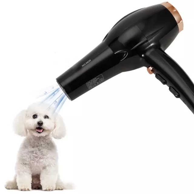 Asciugacapelli portatile 3000 W ventilatore rapido per cani gatti toelettatura Regno Unito