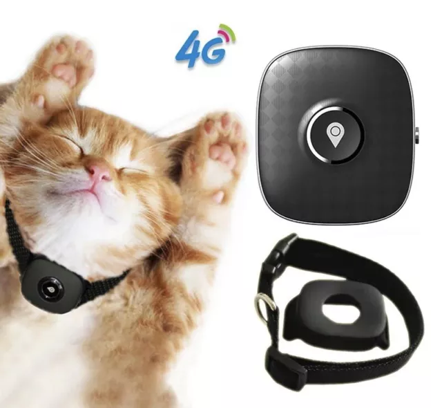 4G Wireless Real Time GPS Cat Tracker Outdoor Waterproof Geo Fence With Collar